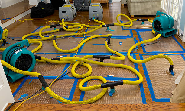 Professional Basement Flood Cleanup technician working in Carthage, IL